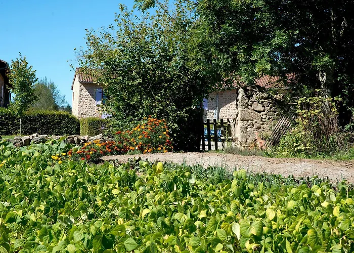 Domaine De La Plagnette 3*
