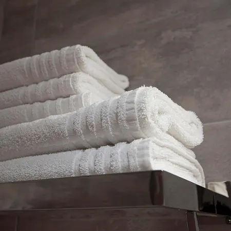 Otel Domaine De La Plagnette 3*